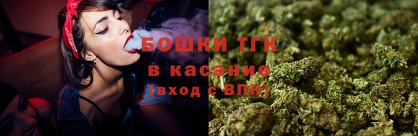 дмт Заводоуковск