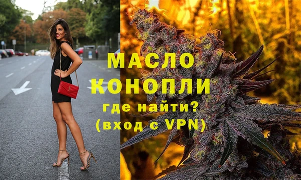 дмт Заводоуковск