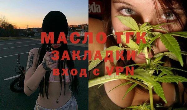 дмт Заводоуковск