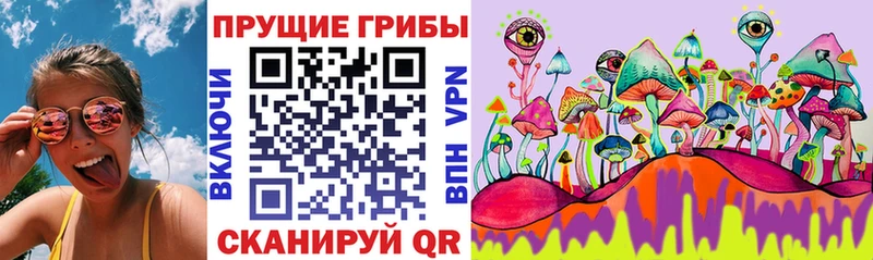 Псилоцибиновые грибы Cubensis  Купить где  Голицыно 